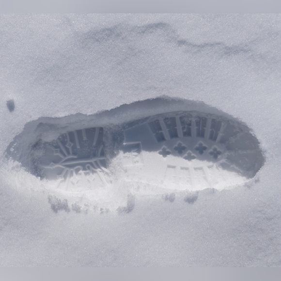 Meet your Posher, Serena - Picture 3 of 7